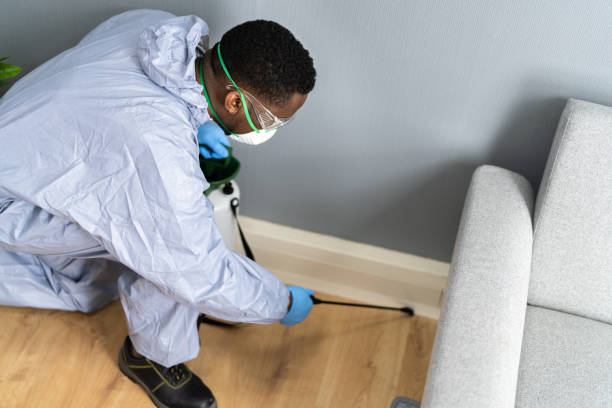 Best Indoor Pest Control  in Manhattan Beach, CA